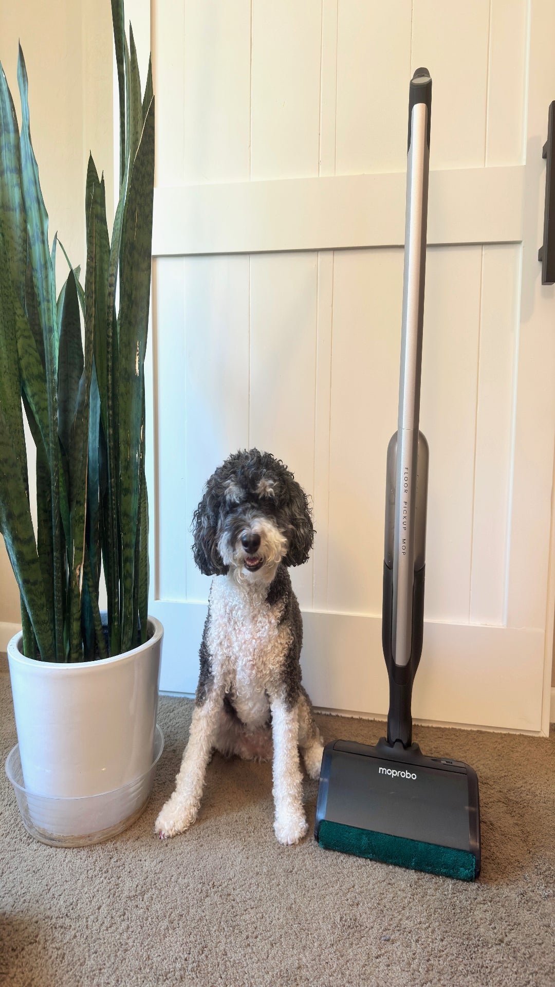 moprobo M2 Turbo pickup mop cleaner